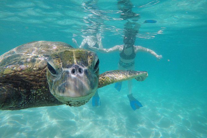 Mahina Hawaii Full Day Adventure - Waterfalls, trails, and mountain views