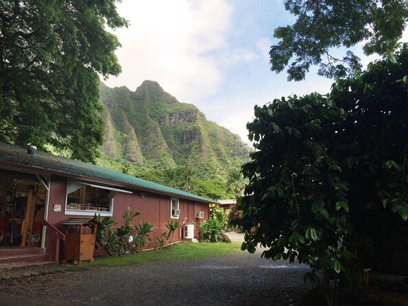 Majestic Circle Island Tour with Lunch - Byodo-In Temple, quiet beauty below the Koʻolaus