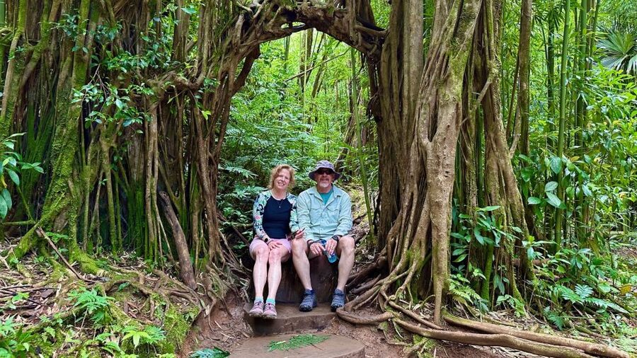 Manoa Falls eBike to Hike - Key points to know before booking