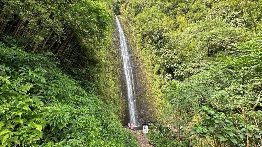 Manoa Falls eBike to Hike - From Kūhiō Beach to the slopes of Mānoa Valley