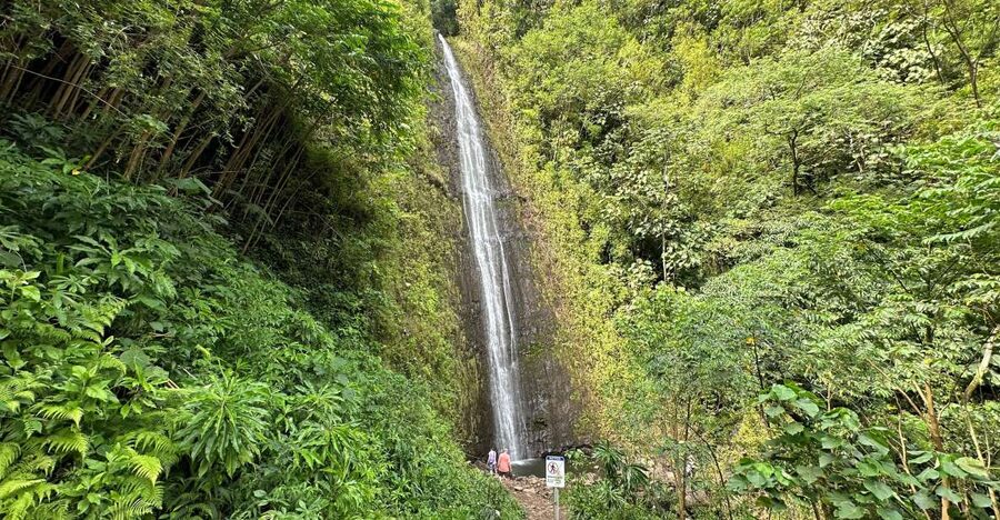 Manoa Falls eBike to Hike - Returning by bike and stopping for food