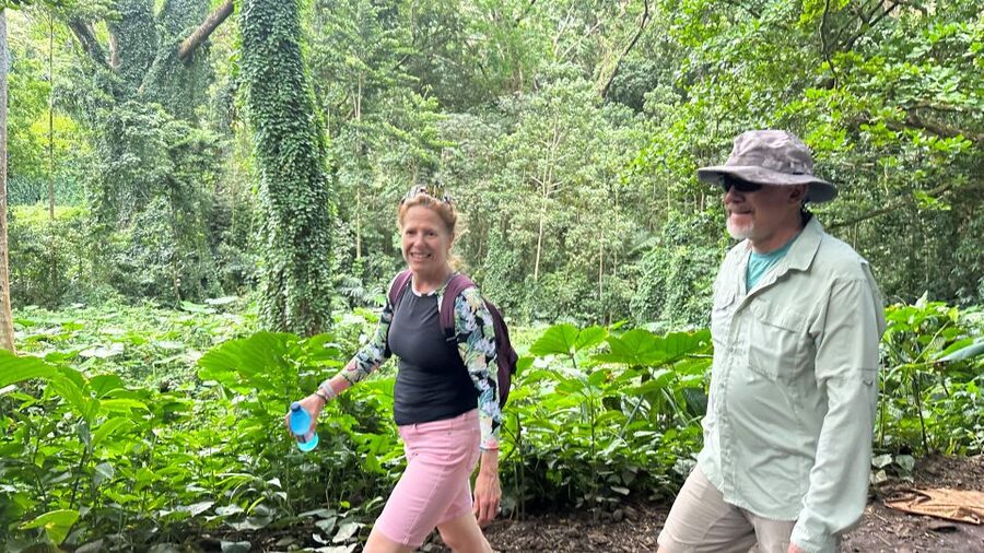 Manoa Falls eBike to Hike - Who should choose this experience?