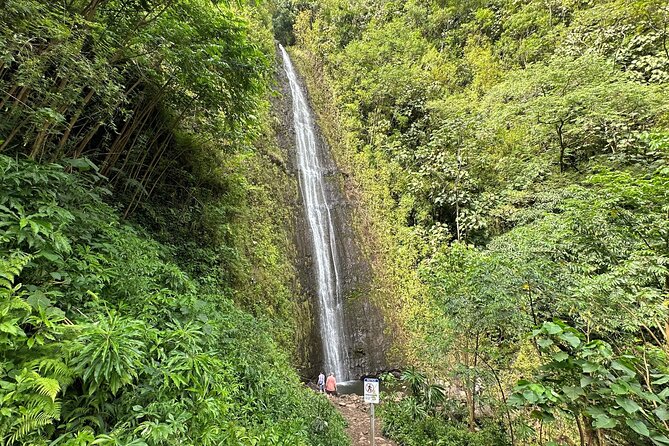 Manoa Falls-Electric Bike to Hike Experience Local meal included - Kapiolani Park and the first taste of Honolulu