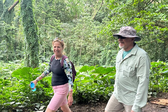 Manoa Falls-Electric Bike to Hike Experience Local meal included - The Ala Wai Canal and University of Hawaii