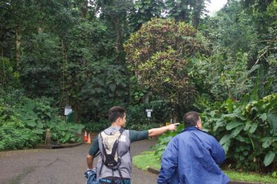 Manoa Falls Rainforest & Self-Guided Hike