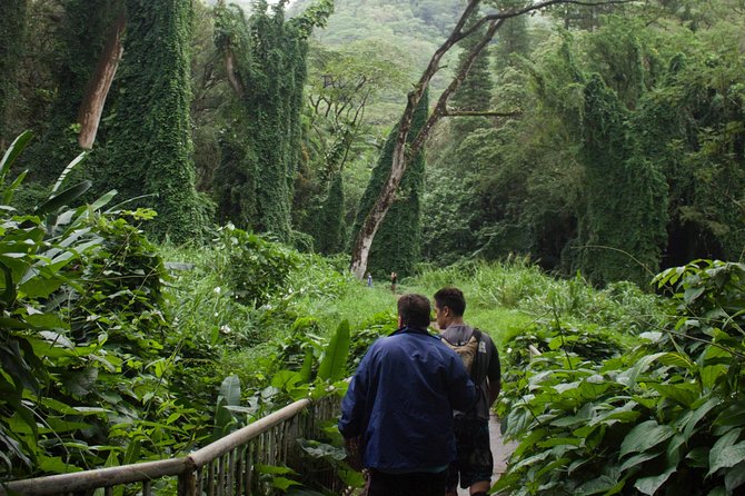 Manoa Falls Rainforest & Self-Guided Hike - Reaching the Waterfall Base