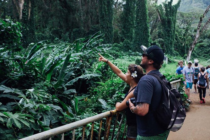 Manoa Waterfall Hike with Waikiki Pickup & Healthy Lunch - Price, timing, and what you are really paying for
