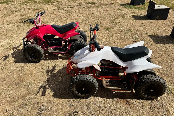 Mini ATVs and Farm Animal Experience - A Two-Part Oahu Outing for Young Children