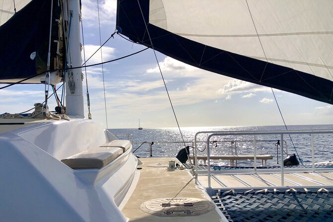 Moana’s Swim’n’Sail Cocktail Cruise Along the Waikiki Coast - Leaving Kewalo Basin Harbor at 2 p.m.