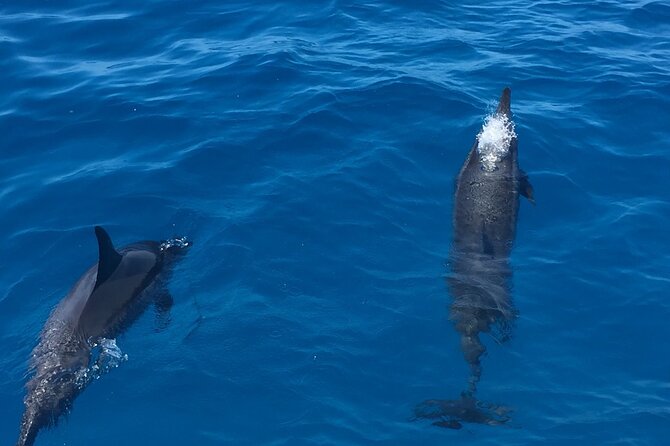 Moana’s VIP Waikiki Turtle Snorkeling Experience on Nalu - Diamond Head from the ocean side