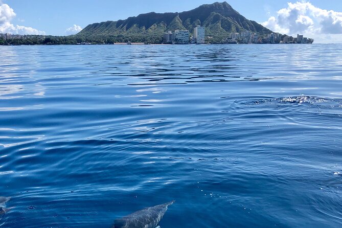 Moana’s Waikīkī Whale Watching Exploration - A comfortable catamaran with room to move