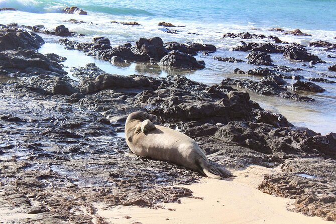 Mokulua Islands Self-Guided Kayak Adventure - Who Will Enjoy This Paddle Most