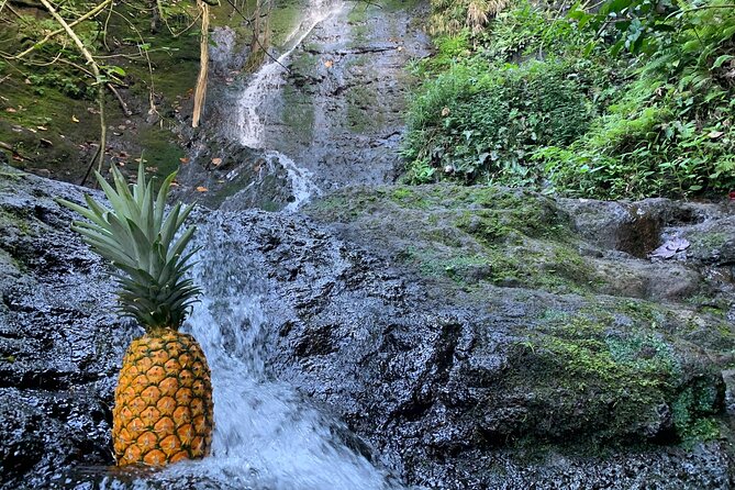 Nature Hike to Waterfall - Likeke Falls: the day’s main walk