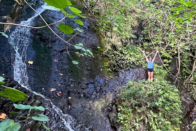 Nature Hike to Waterfall - Nuʻuanu Pali: wide windward views