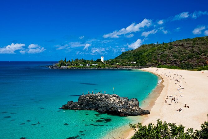 North Shore Adventure Shuttle - Turtle Beach adds a wildlife possibility