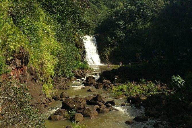 North Shore day,Waterfalls and Turtles Tour - What Seamus and Sandy add to the day