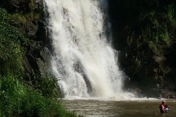 North Shore day,Waterfalls and Turtles Tour - Is the $150 price a good value?