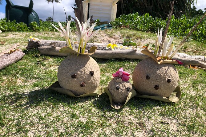North Shore day,Waterfalls and Turtles Tour - Should you book it?