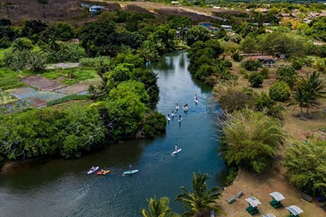 North Shore Farm: Anahulu River, Kayak-Sup, Turtles, Lunch & More - Lunch choices that make the $80 price easier to accept