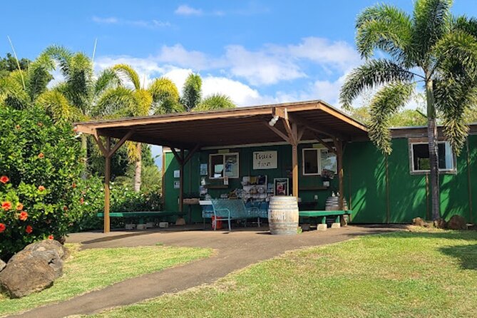 North Shore Farm: Anahulu River, Kayak-Sup, Turtles, Lunch & More - Tsue’s Farm after the water
