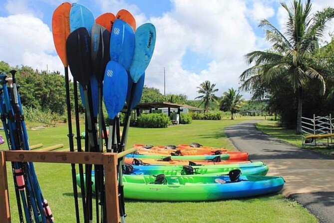 North Shore Farm: Anahulu River, Kayak-Sup, Turtles, Lunch & More - Who will enjoy this most?