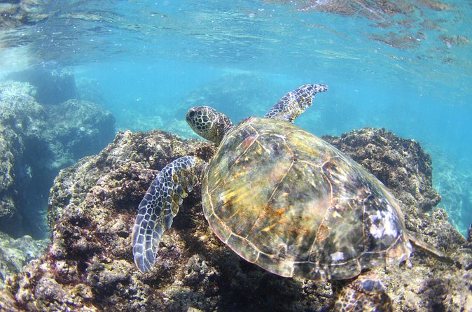 North Shore Stand-Up Paddleboard Lesson - What the North Shore setting adds
