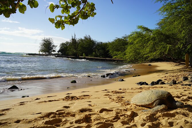 North Shore Surfing Lessons Oahu Hawaii - Choosing between a shared and private lesson