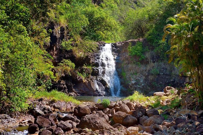 North Shore / Waimea, Falls Day & Swim with Turtles - Key points to know before you book