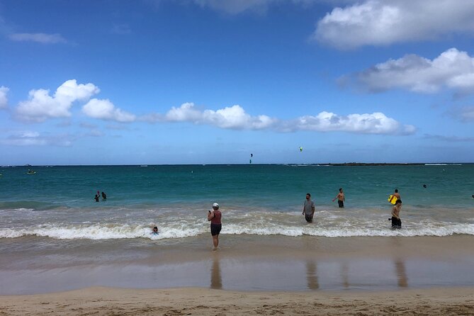 North Shore / Waimea, Falls Day & Swim with Turtles - Why this North Shore day works so well