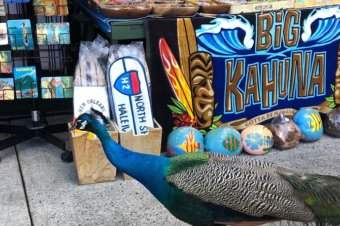 North Shore / Waimea, Falls Day & Swim with Turtles - Shrimp truck lunch in Haleiwa