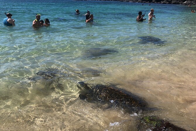 North Shore / Waimea, Falls Day & Swim with Turtles - Shops, vendors, and a slower finish