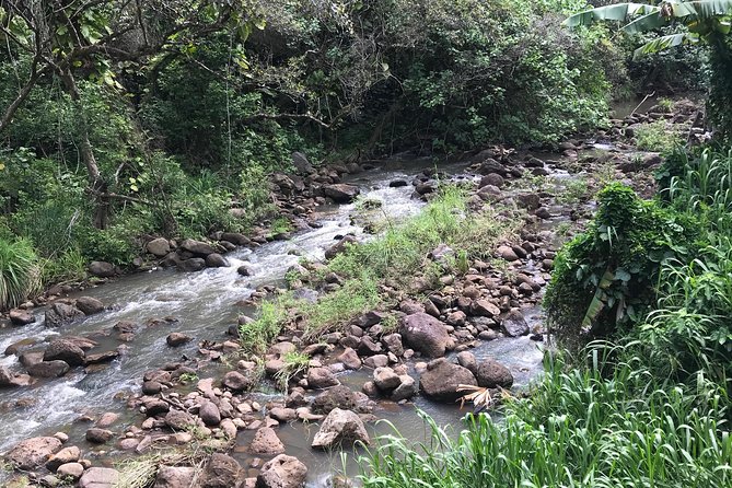 North Shore / Waimea, Falls Day & Swim with Turtles - What the guide adds to the day