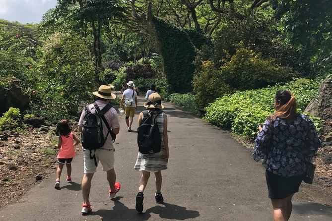 North Shore / Waimea, Falls Day & Swim with Turtles - Starting at 9 a.m. from Honolulu