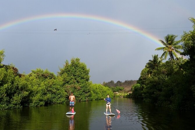 Northshore ocean adventure and circle islandJeep Tour- Guaranteed to see turtles - Nu‘uanu Pali and Laie Point