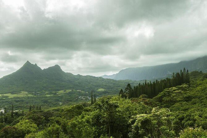 O‘ahu Highlights Private Guided Tour: Landmarks & Architecture - Key things to know before booking