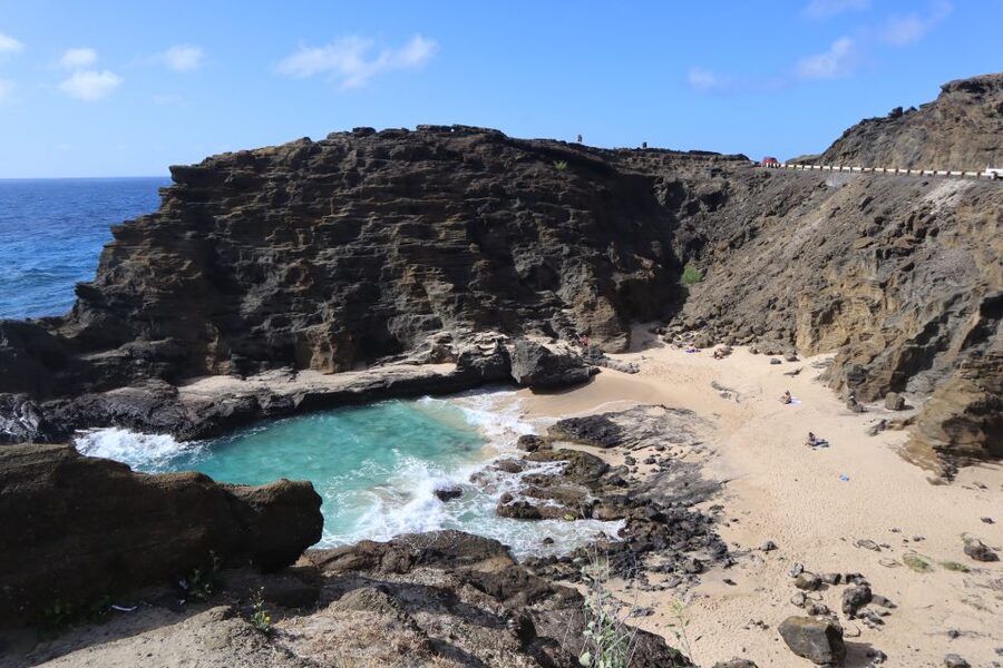 Oahu: Active Circle Island Tour - Manoa Waterfall is the optional final challenge