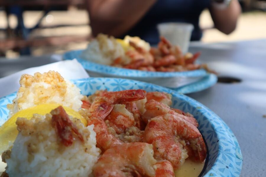 Oahu: Active Circle Island Tour - Macadamia nuts and China Man’s Hat