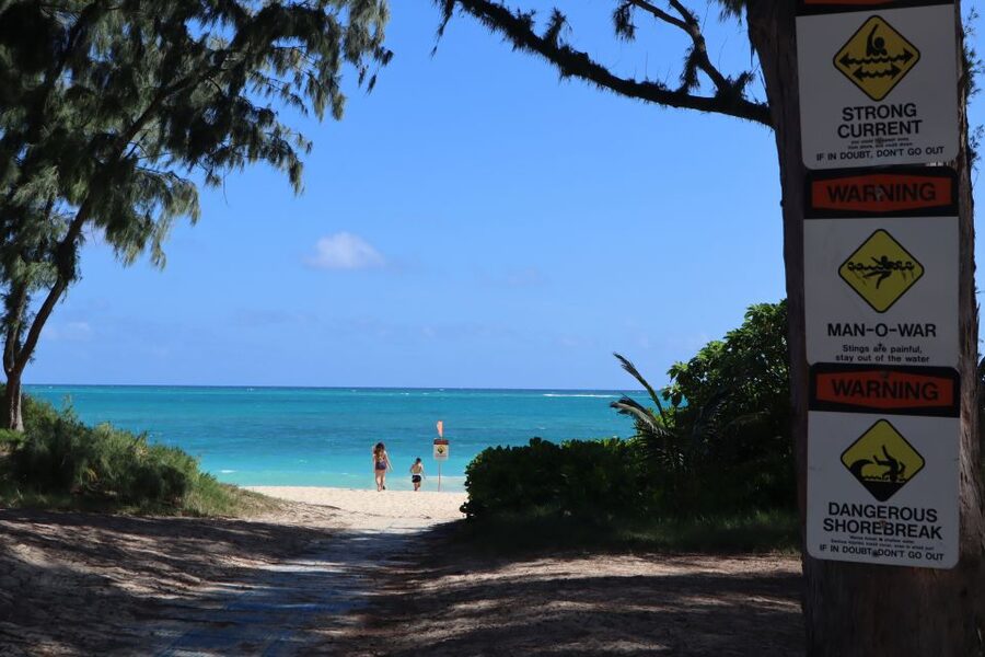 Oahu: Active Circle Island Tour - Sharks Cove is the main water activity