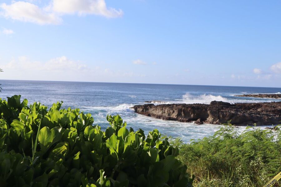 Oahu: Active Circle Island Tour - Turtle Beach offers a quieter pause