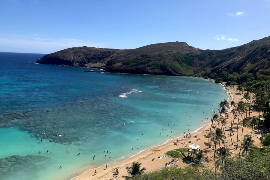 Oahu: Beauty and the Feast Circle Island Experience - Key points to know before booking