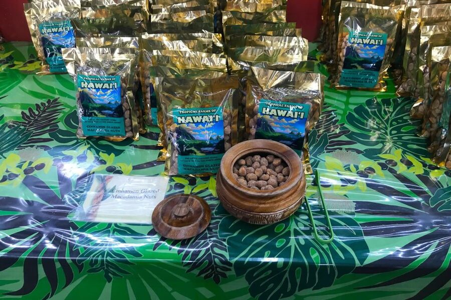 Oahu: Beauty and the Feast Circle Island Experience - Why this circle island tour works for a first day on Oahu