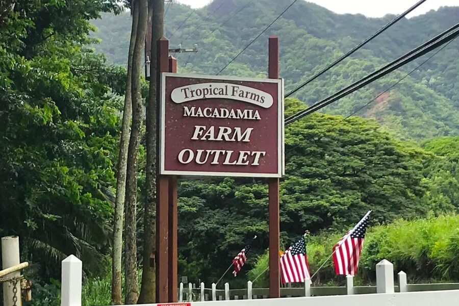 Oahu: Beauty and the Feast Circle Island Experience - Haleiwa: the North Shore stop with the most personality