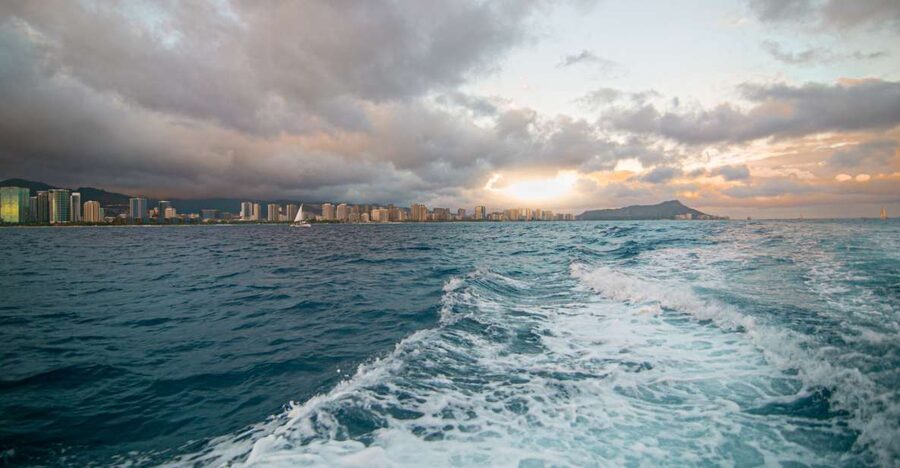 Oahu: BYOB or Cash Bar Waikiki Sunset Cruise - Dolphins, whales, and what you should realistically expect