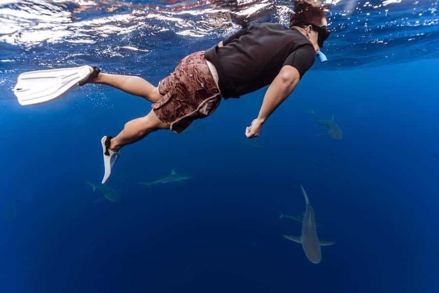 Oahu: Cageless Shark Dive Adventure - What the open-water setting feels like
