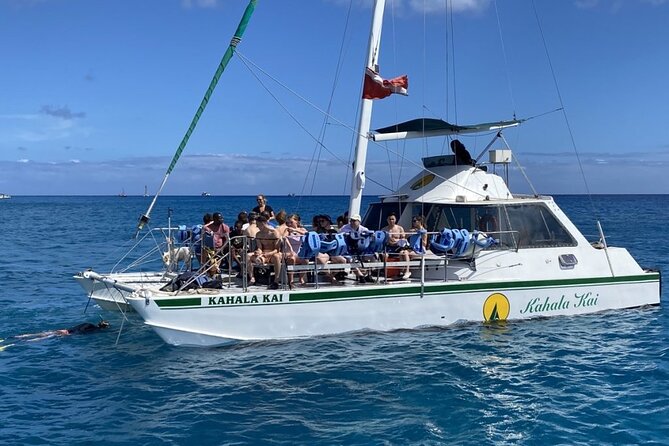 Oahu Catamaran Snorkel Tour: See Turtles 100% Guaranteed - Meeting point, timing, and cancellation rules