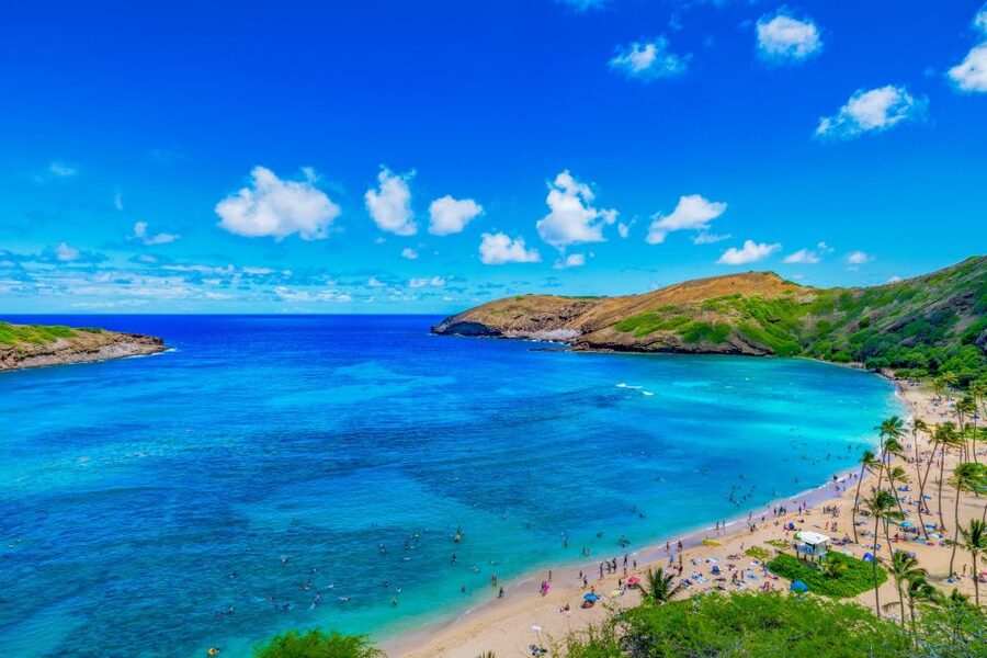 Oahu: Circle Island Top Sights Full-Day Tour w/ Local Guide - Why This Circle Island Tour Works