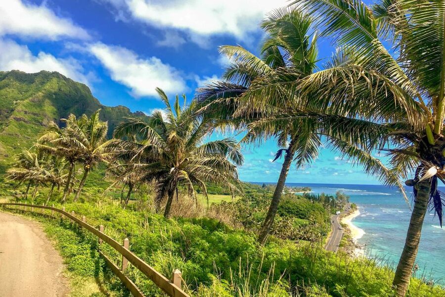 Oahu: Circle Island Top Sights Full-Day Tour w/ Local Guide - Dole Plantation and the Final Sweet Stop