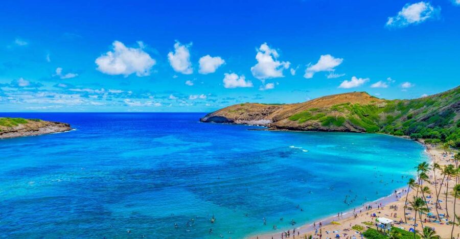 Oahu: Circle Island Top Sights Full-Day Tour w/ Local Guide - Nuʻuanu Pali Lookout and the Windward Coast