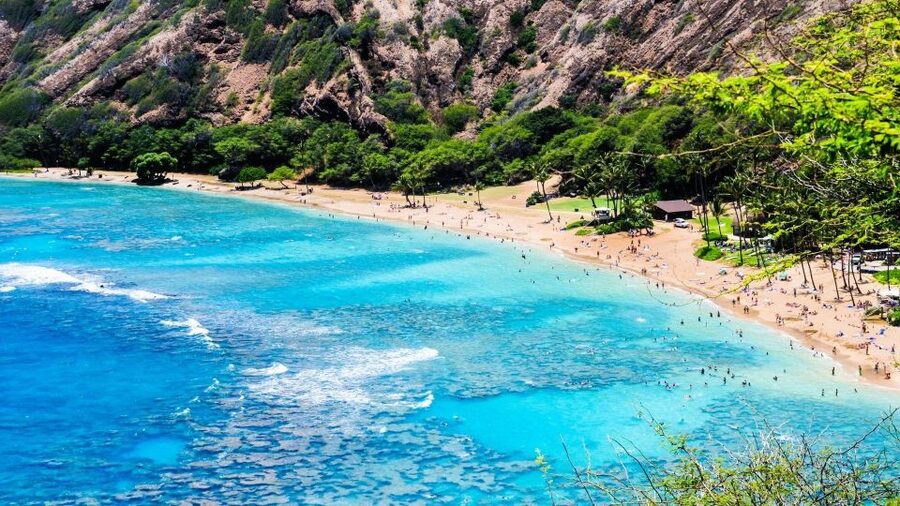 Oahu Circle Island Tour - Best Spots & Beaches - Waimānalo and the macadamia farm stop