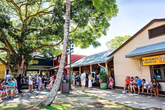 Oahu Circle Island Tour with Byodo-In Temple Admission - Halona Blowhole and Sandy Beach